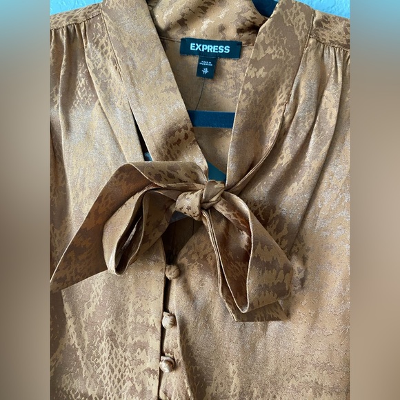 Express buttoned down blouse - Picture 7 of 8